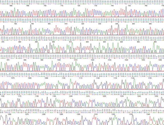 PeakTrace Processed Trace